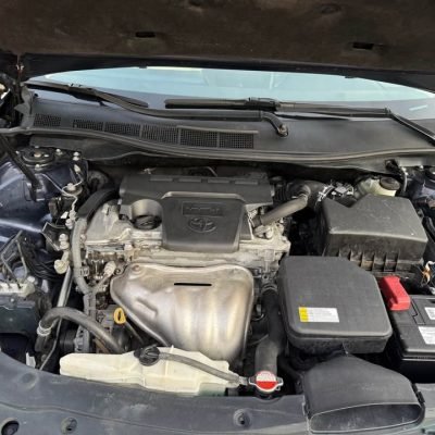 599768663_32991176760525984_5425143443207533136_n